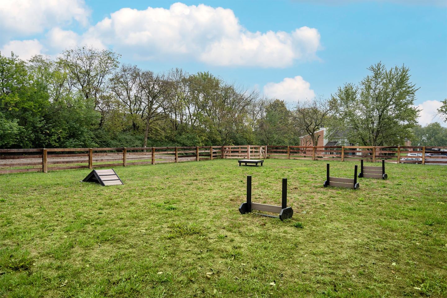 Steeplechase Image 50
