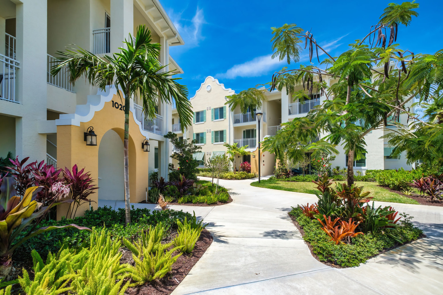 Oceanside Lantana Image 39