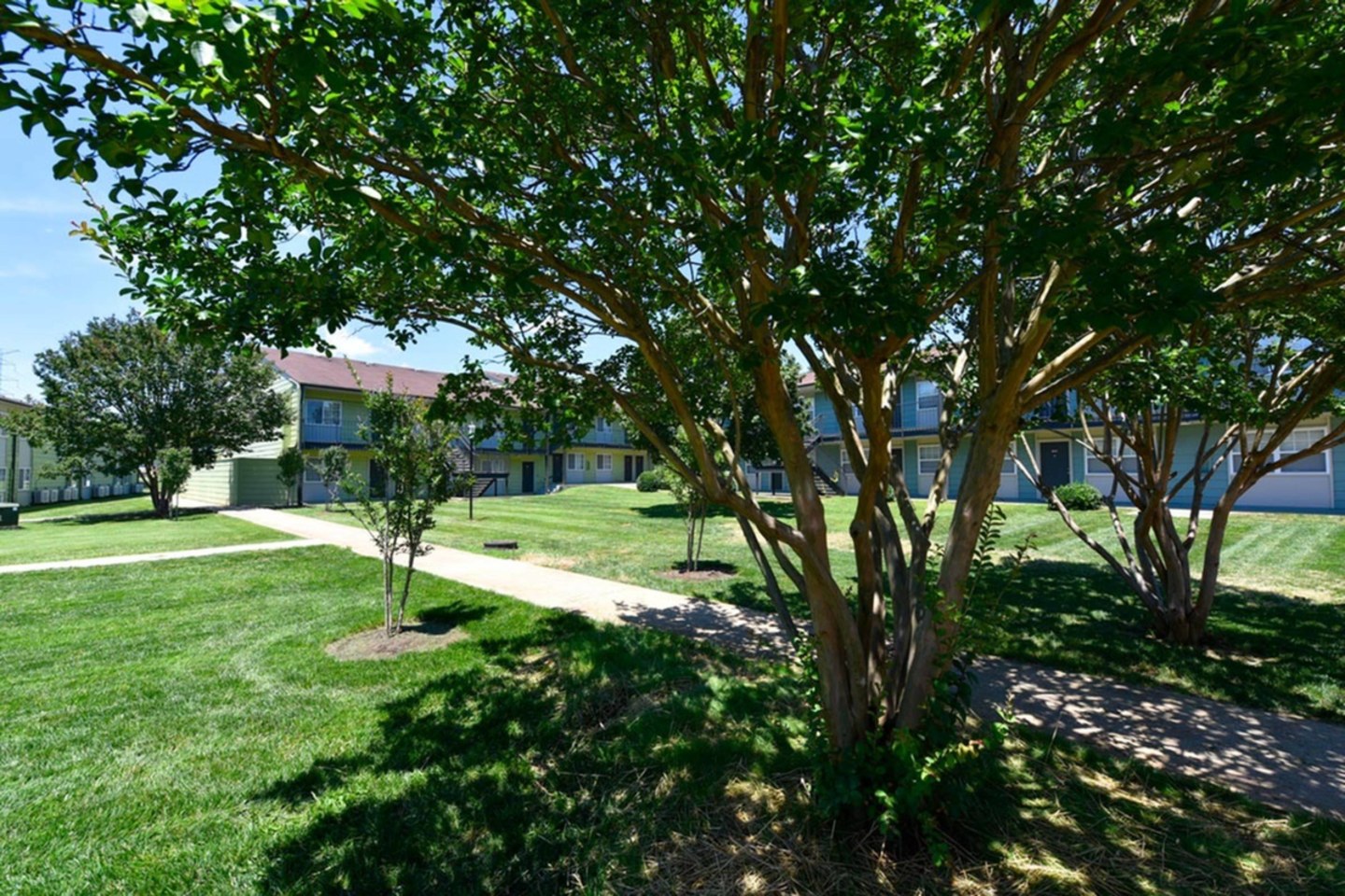 Element At Cedar Bluff Image 4