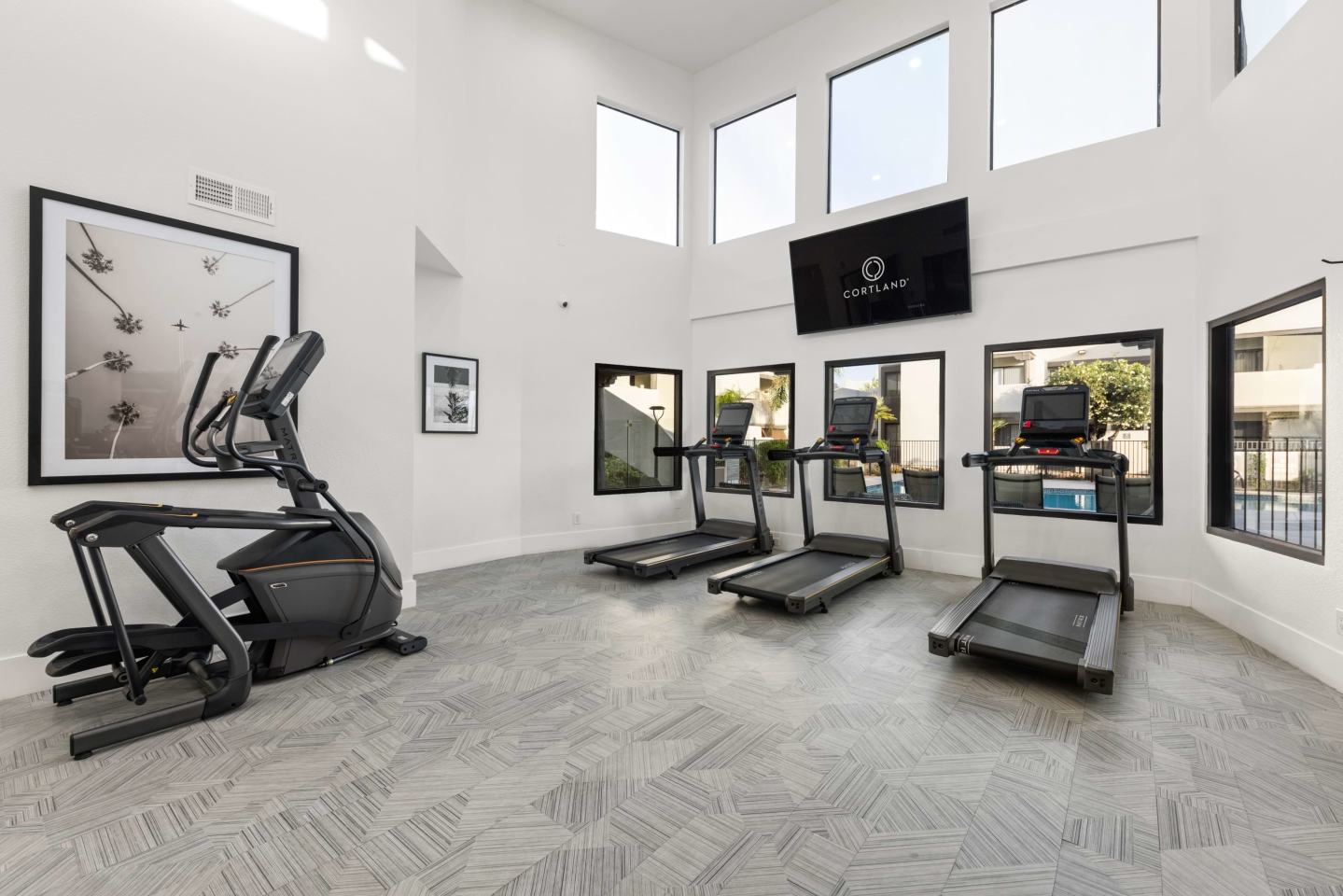 Cortland Scottsdale Mountain Image 14
