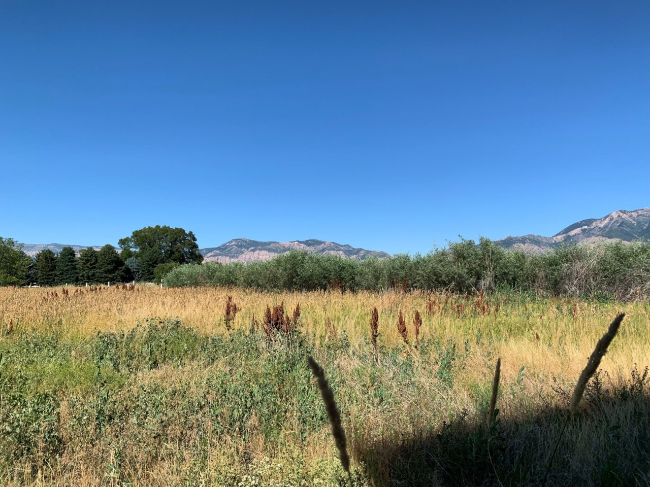 Claradon Village Image 20