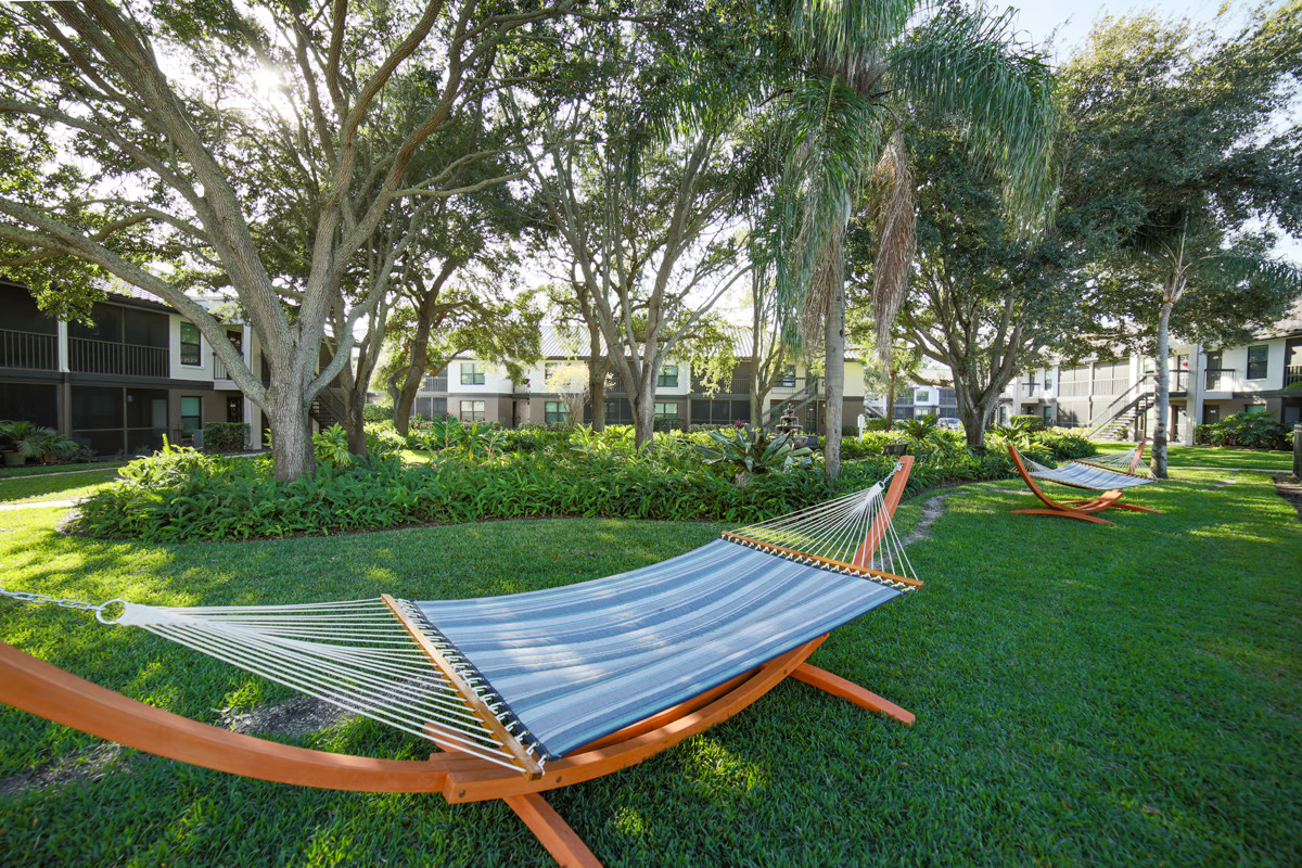 Palms of Clearwater Image 19