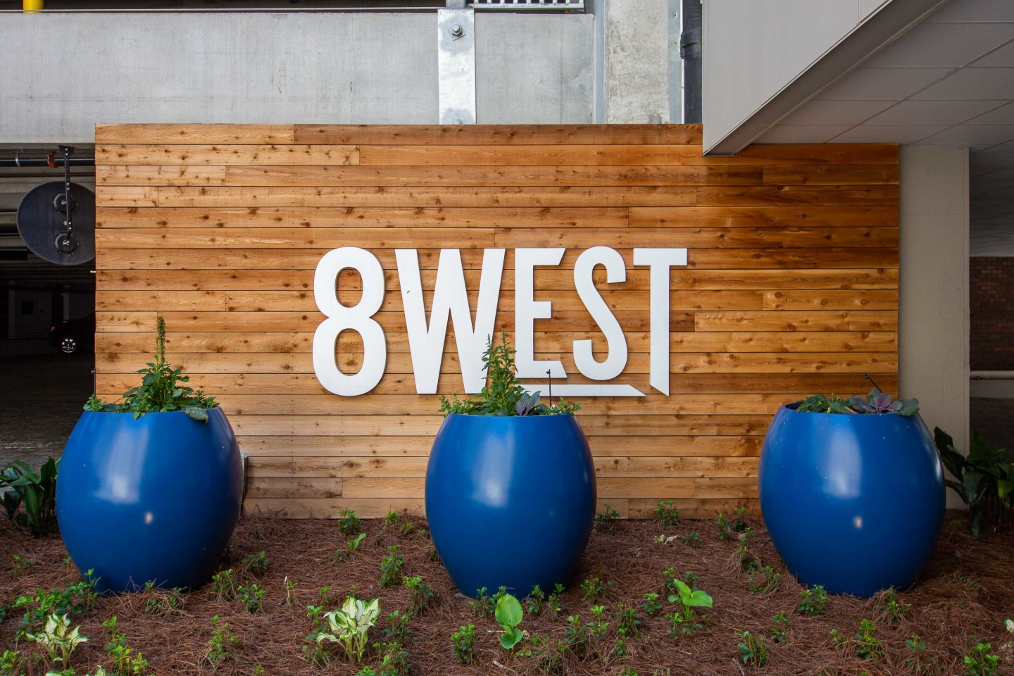 Live 8 West Image 6