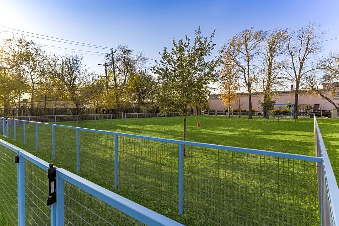 The Lynx Apartments and Townhomes Image 17