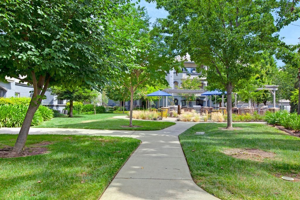 Broadleaf Apartments Image 86