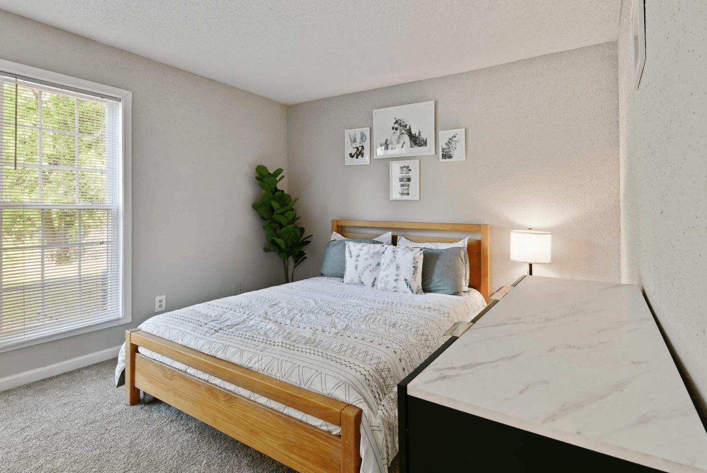 Premier Apartments Image 14