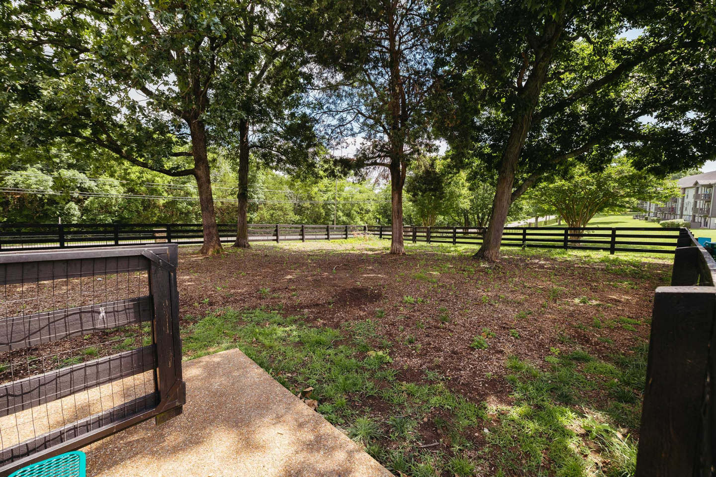Chase Cove Image 115