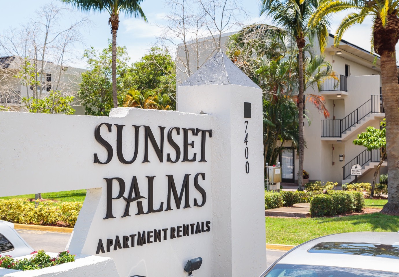 Sunset Palms Image 11