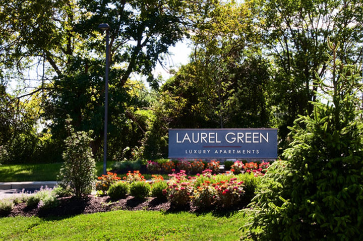 Laurel Green Image 26