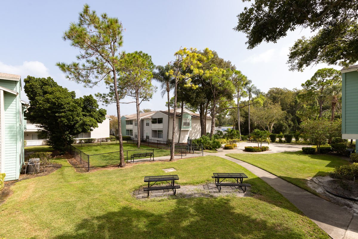 Ascent Citrus Park Image 33