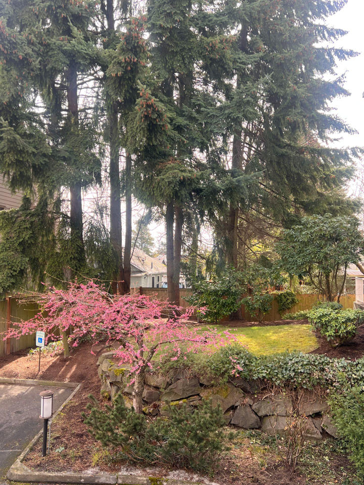 Lakeview Court Image 1