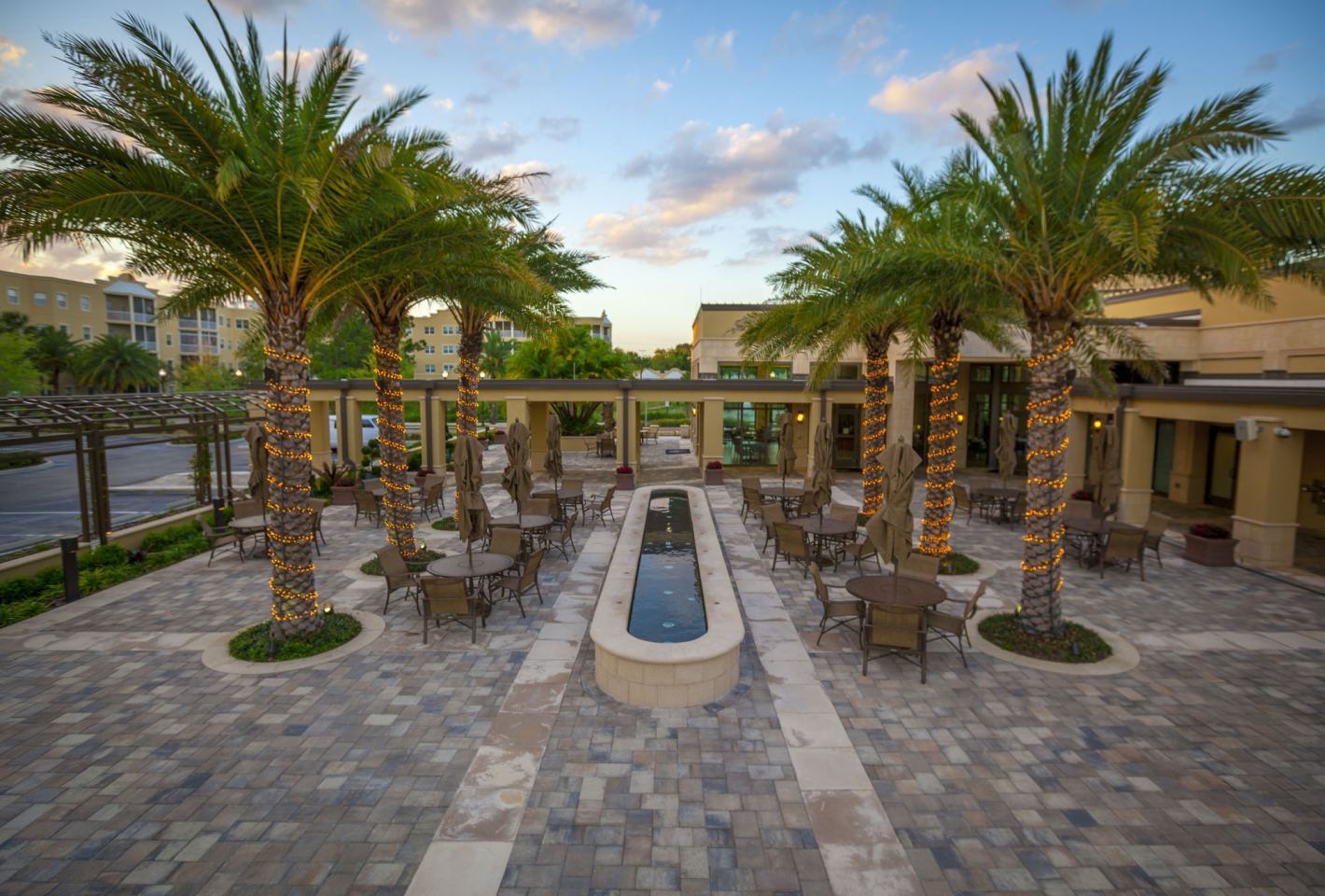 Silver Palms Image 24