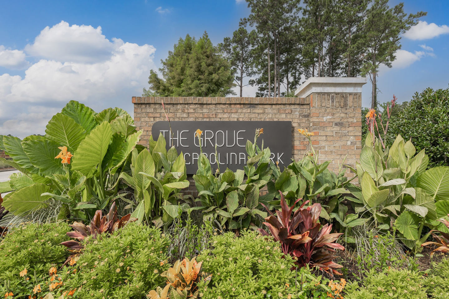 The Grove at Carolina Park Apartments Image 1