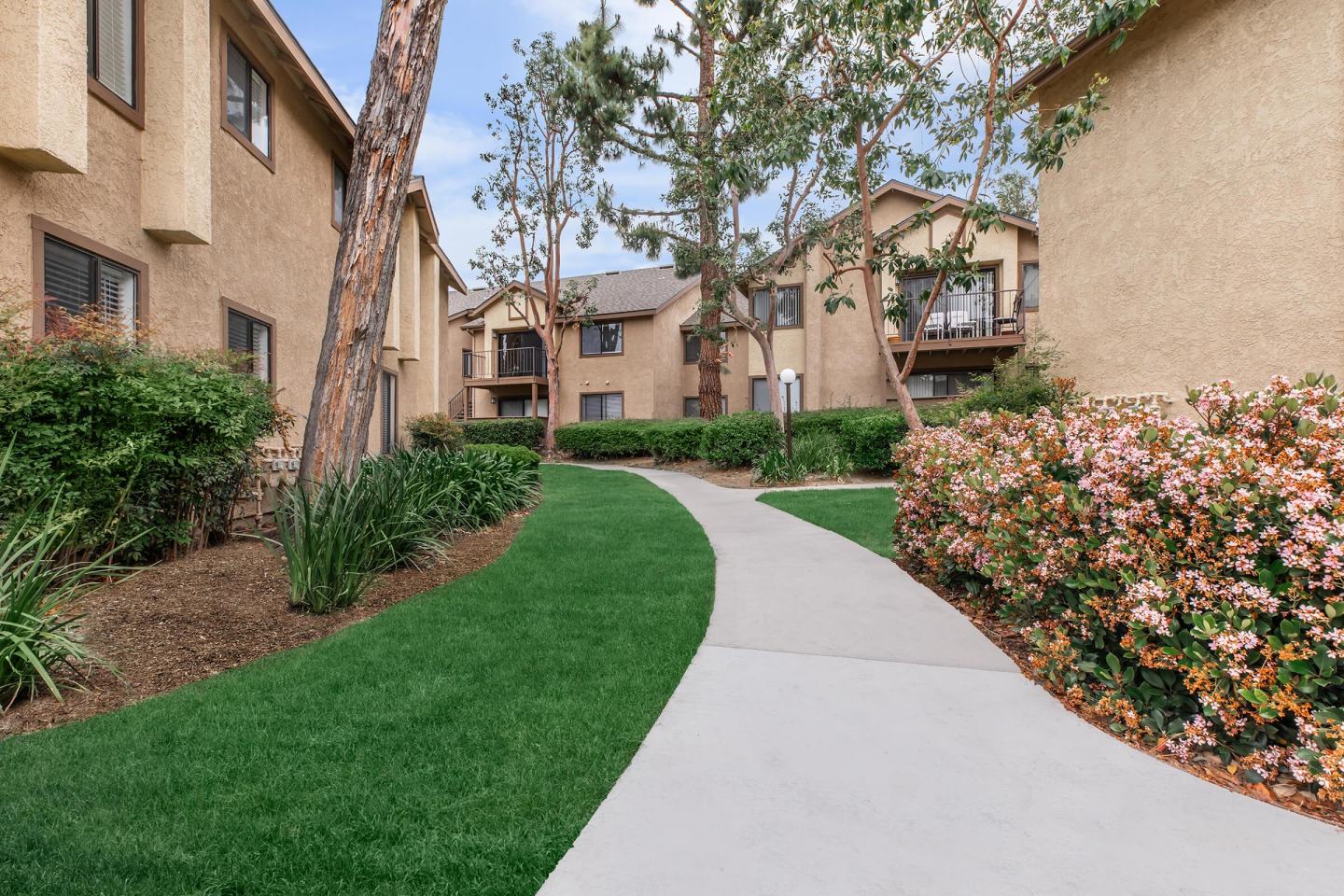 Mountain Springs Image 44