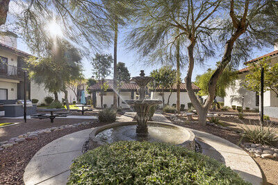Fountain Palms Image 19