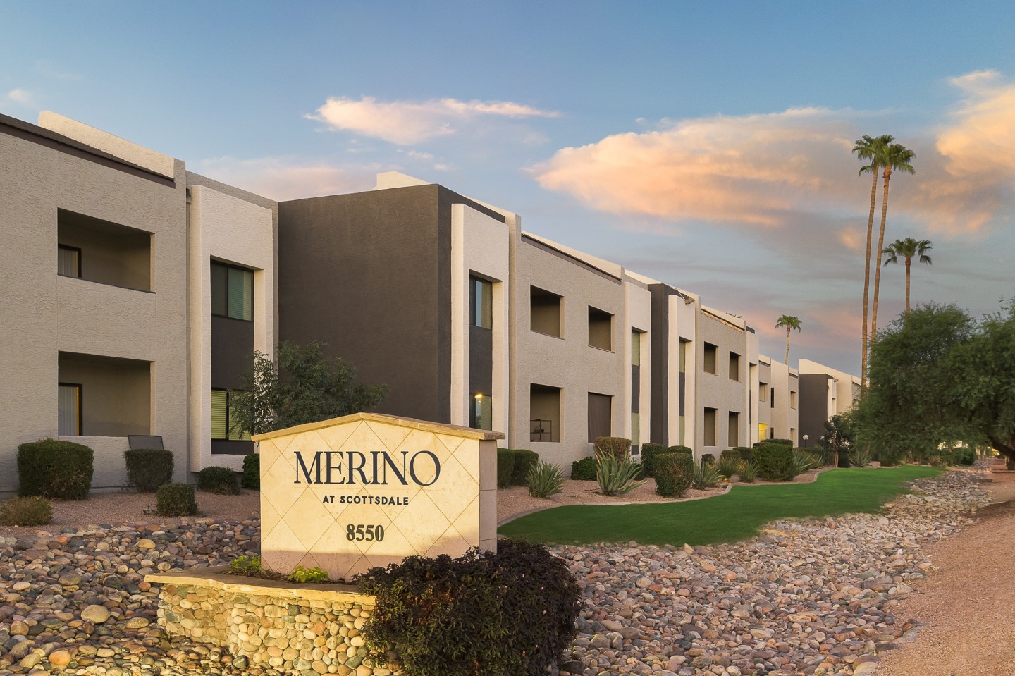 Merino Image 33