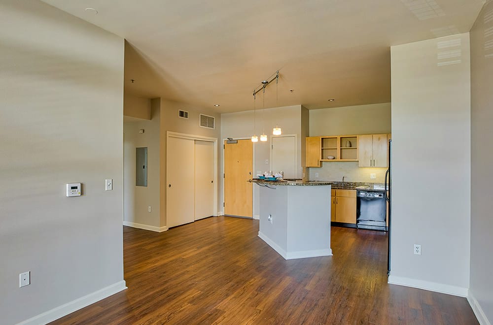 Cortland Belmar Image 30