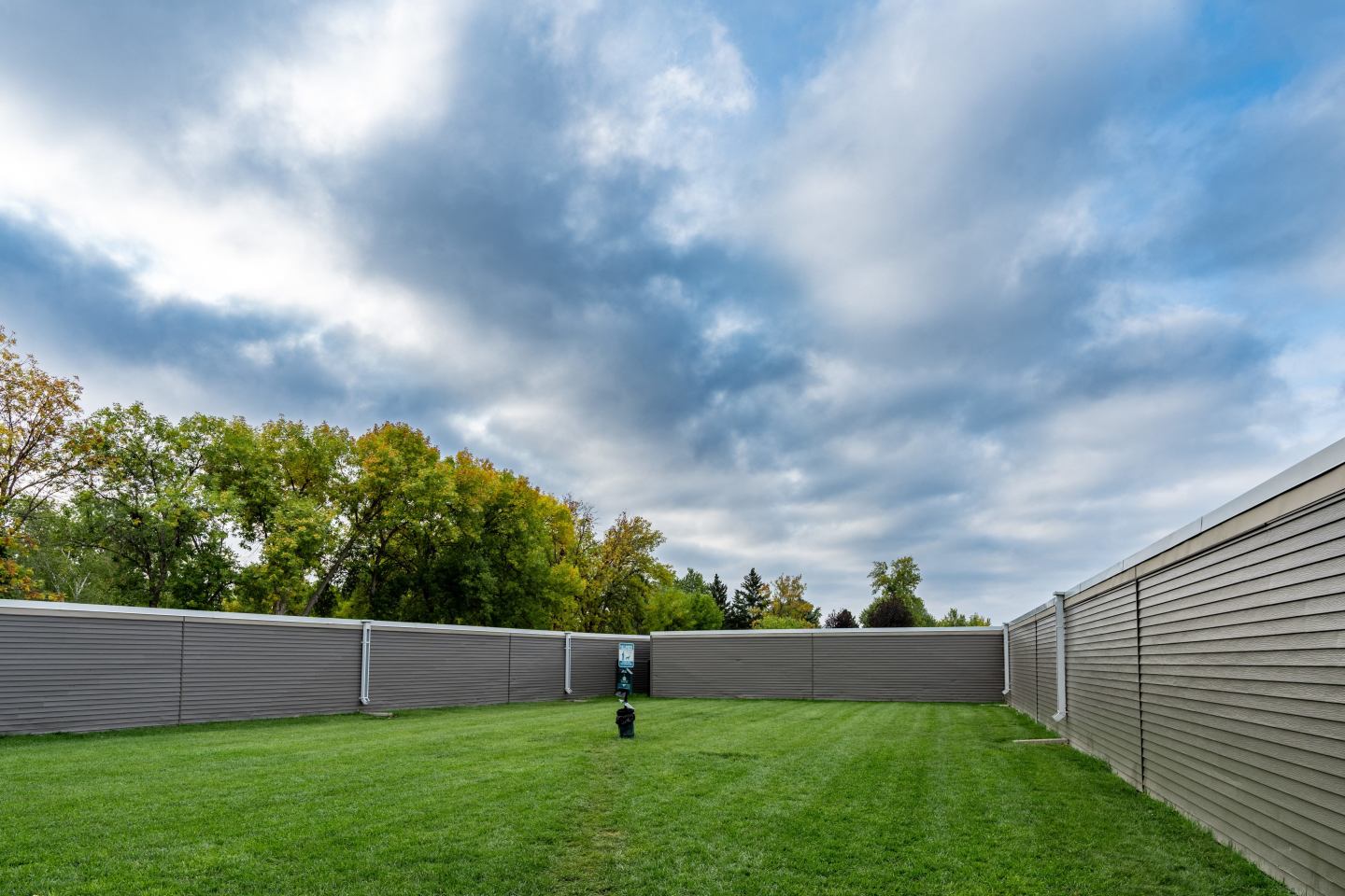 Summerfield Image 2