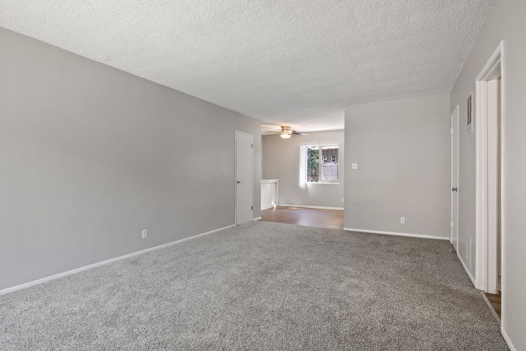 Roxanne Apartments Image 6