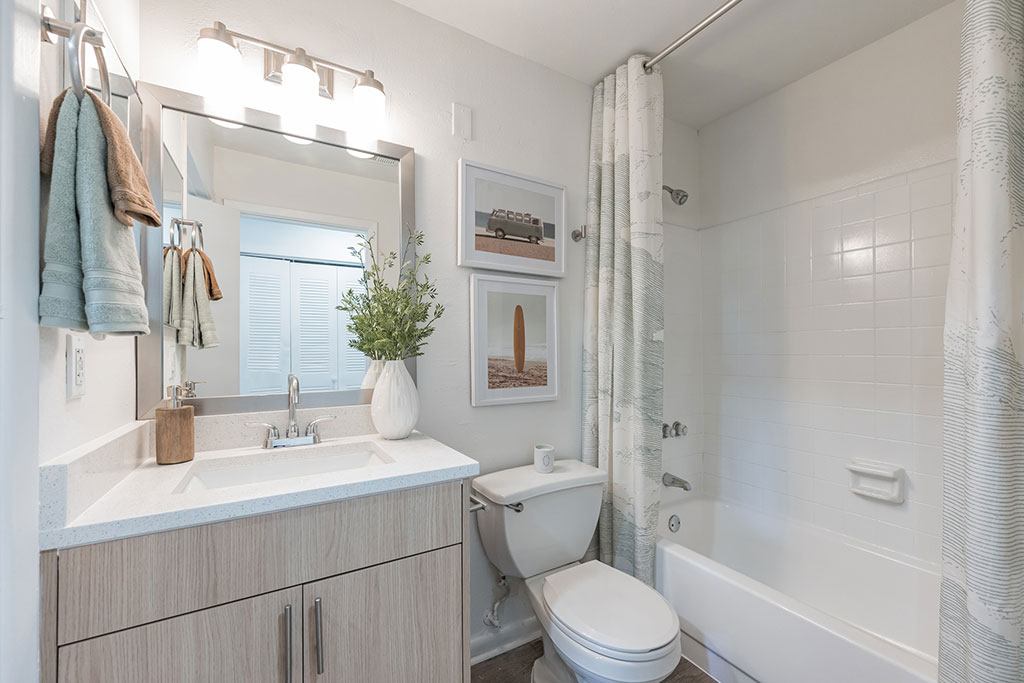 Pointe at Carrollwood Image 13