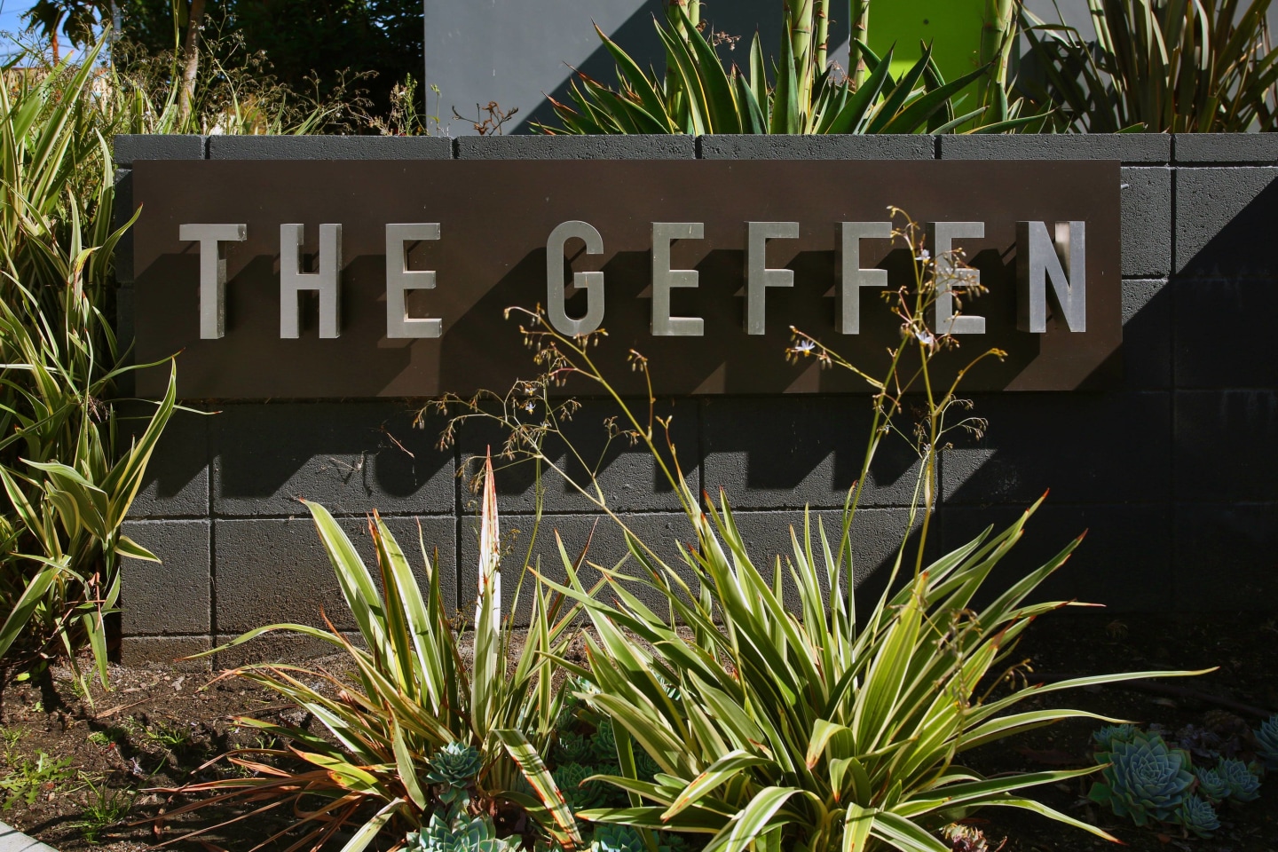 The Geffen Image 18