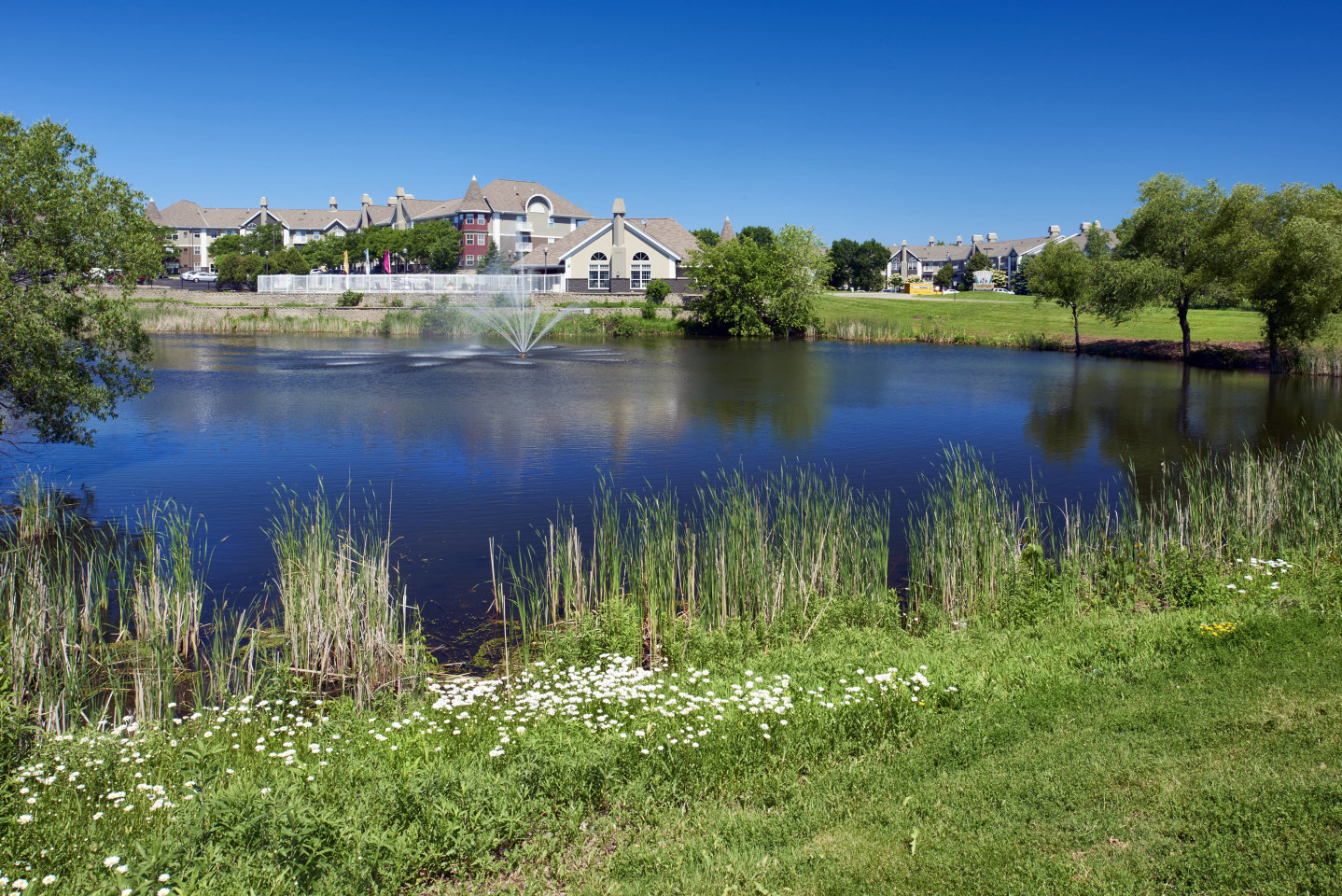 The Barrington Image 13
