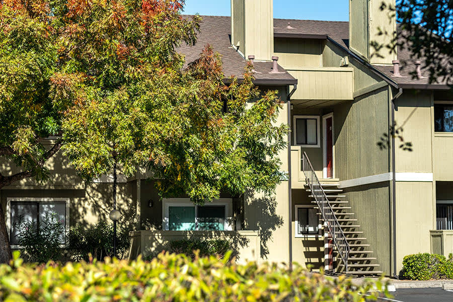 Sutter Ridge Image 6