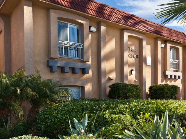 Elan the Palms Apartment Homes Image 7