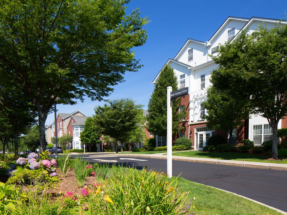 Avalon at Lexington Hills Image 2