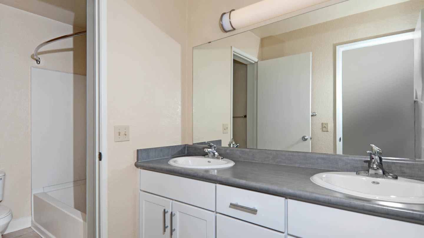 Verde Image 12
