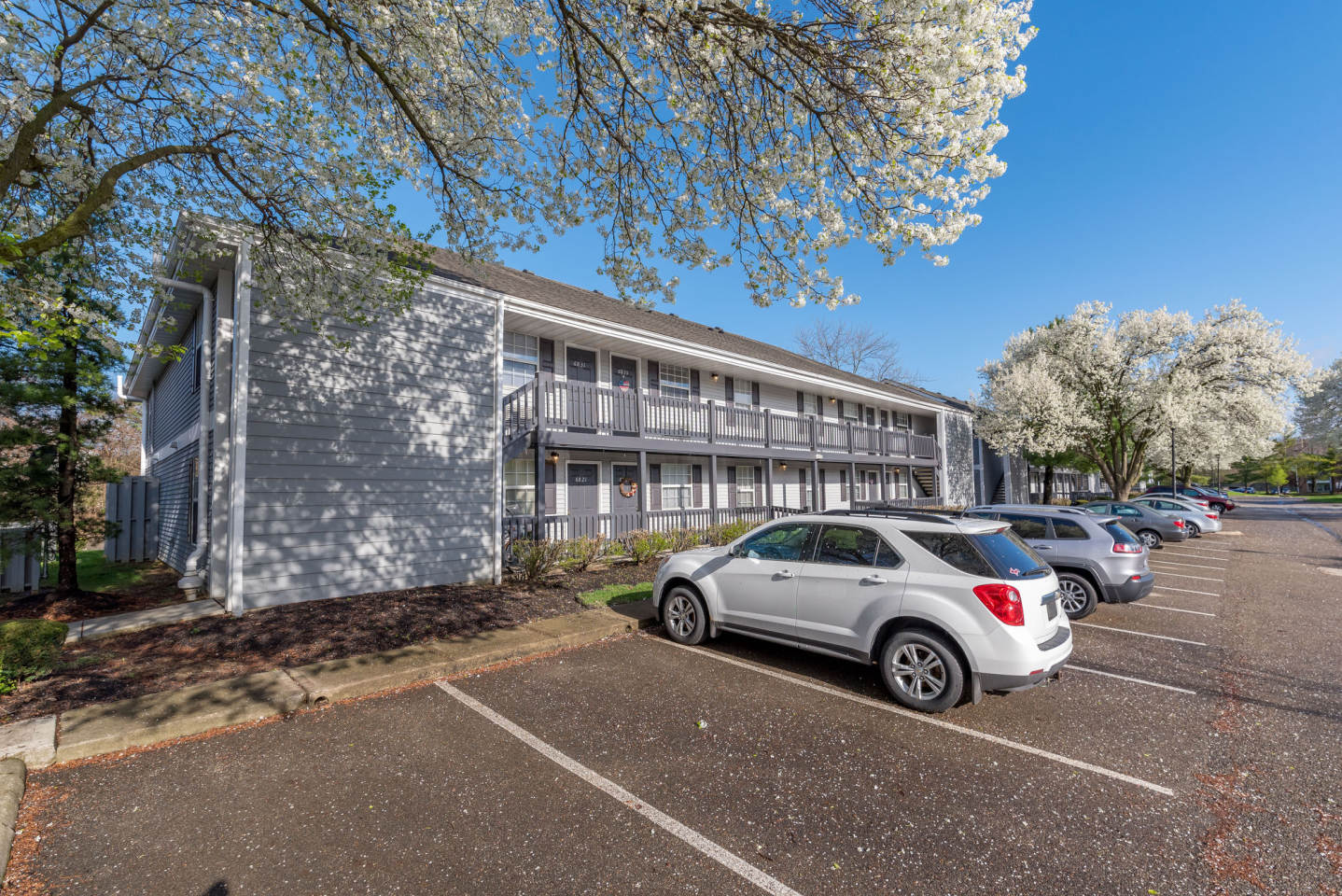 Kilborough Apartments Image 18