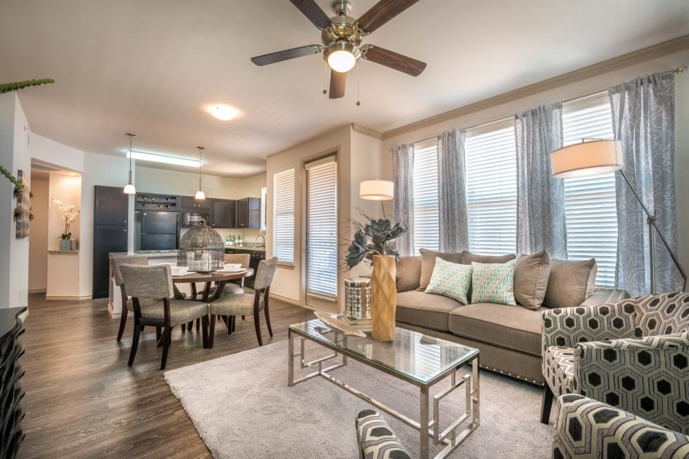 Paladin Apartments Image 12