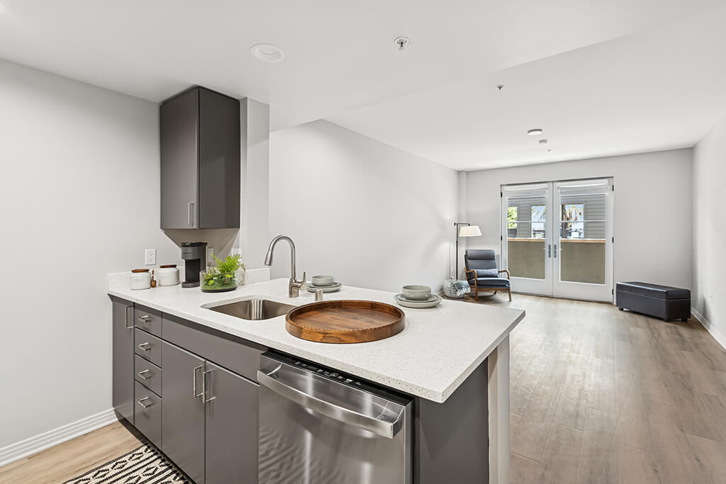 Haven at Del Mar Station Apartments Image 3