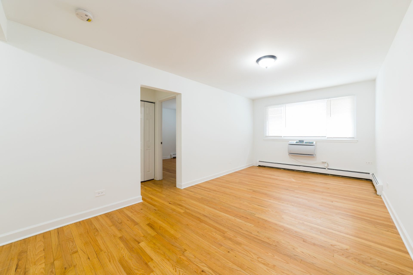 6211 N. Kenmore Image 4