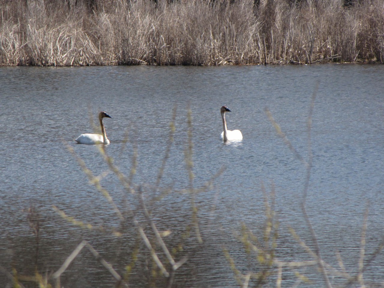 Sterling Ponds Image 18