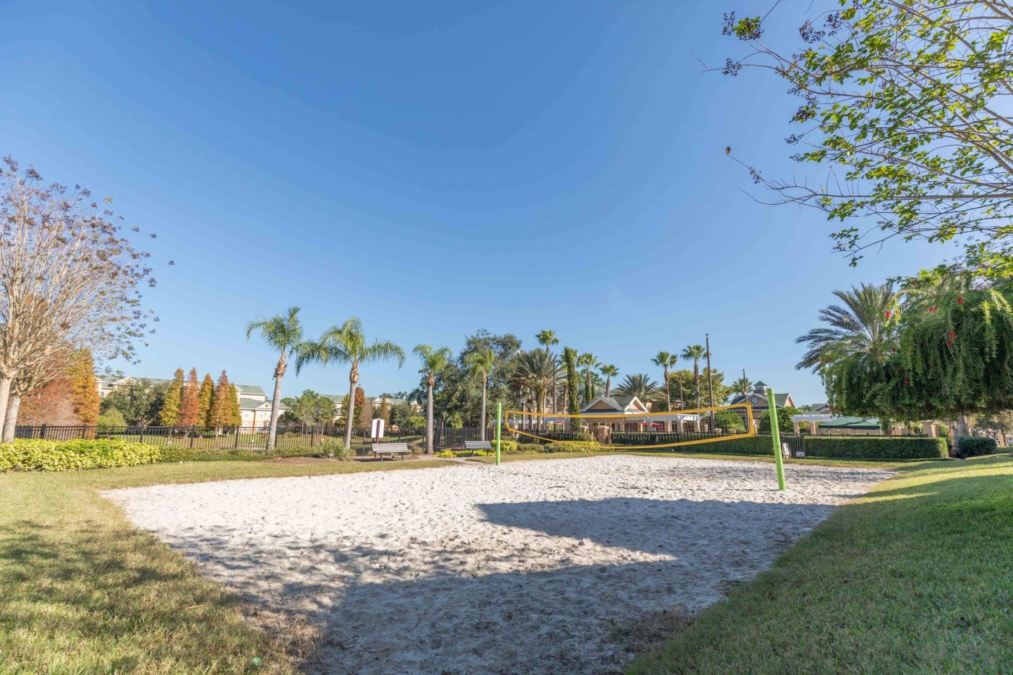 Park at Palazzo Image 14