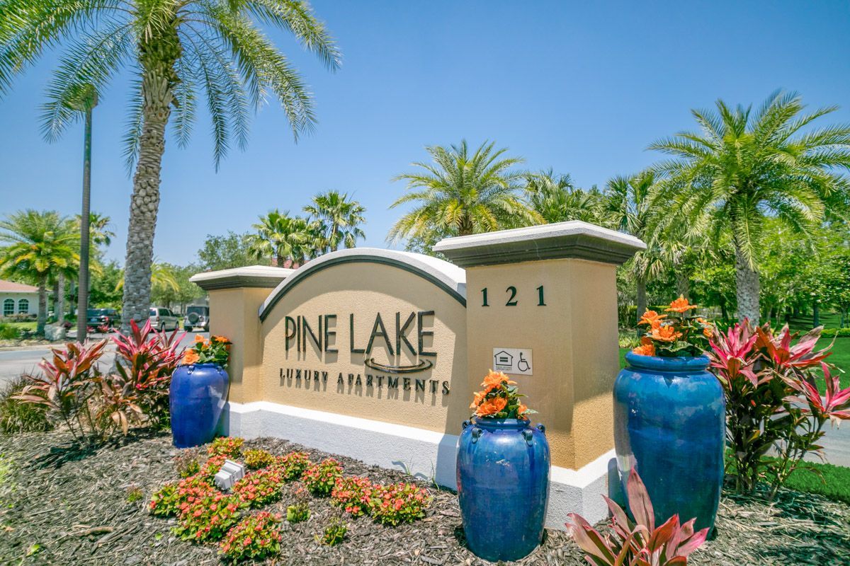 Pine Lake Image 30
