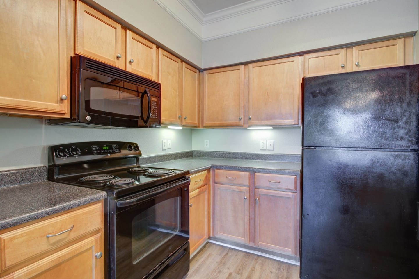 Carrington at Champion Forest Apartments Image 5