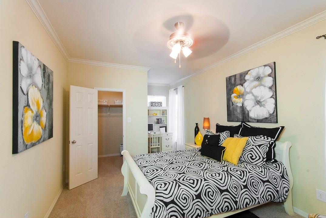 The Meadows at North Richland Hills Apartments Image 5