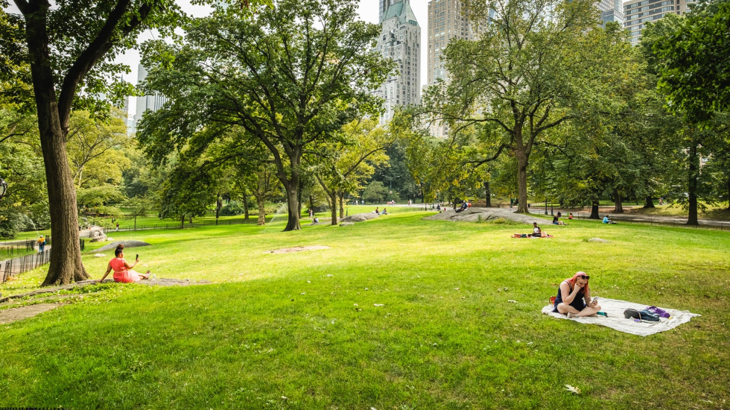 West 54th Image 32