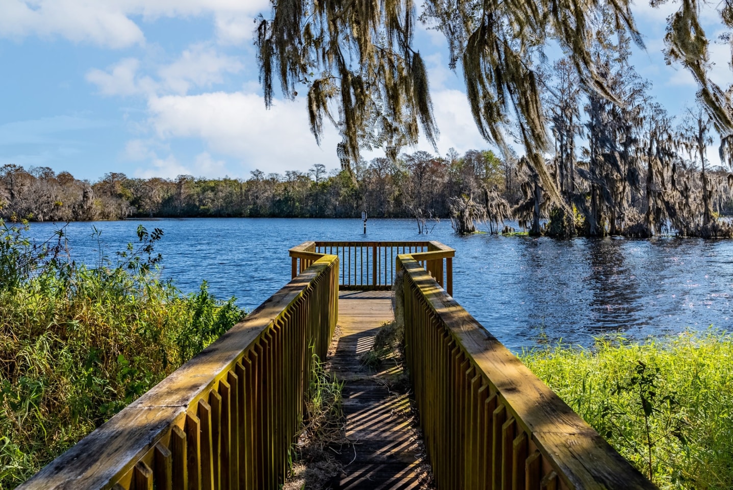River View Image 37
