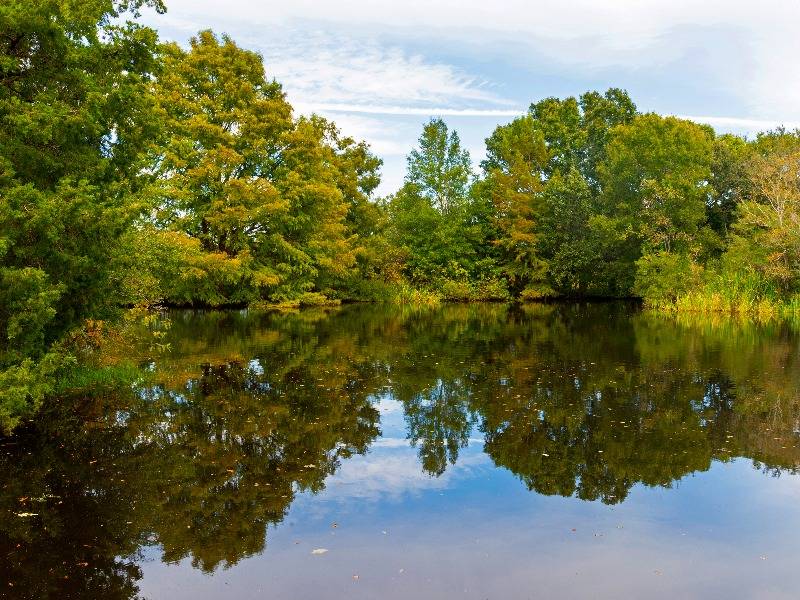 Park at Armand Bayou Image 16