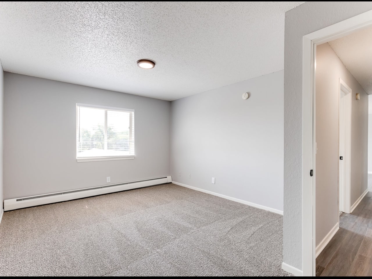 White Pines Image 15