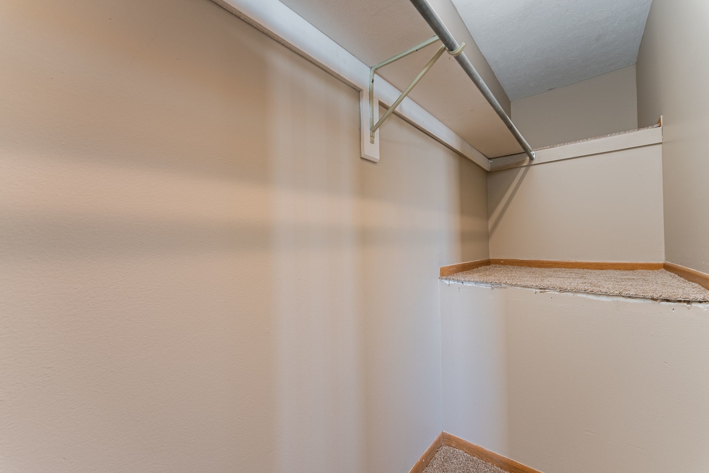 Woodland Trace Image 38