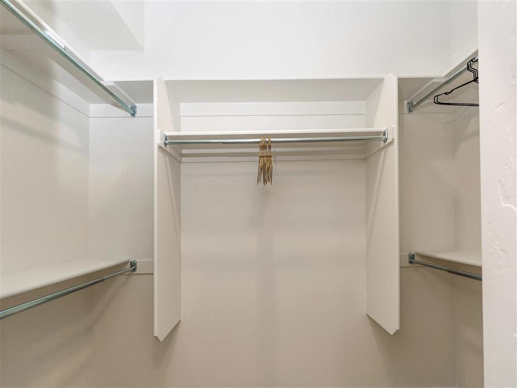 The Arlo Image 11