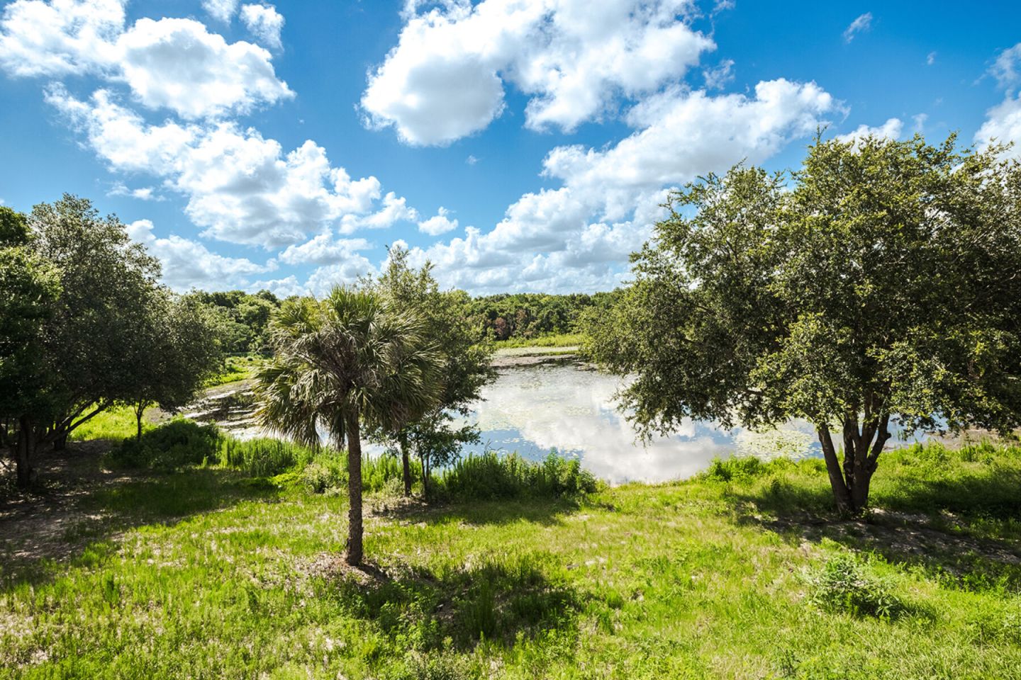 J. Ardin at Apopka Image 12