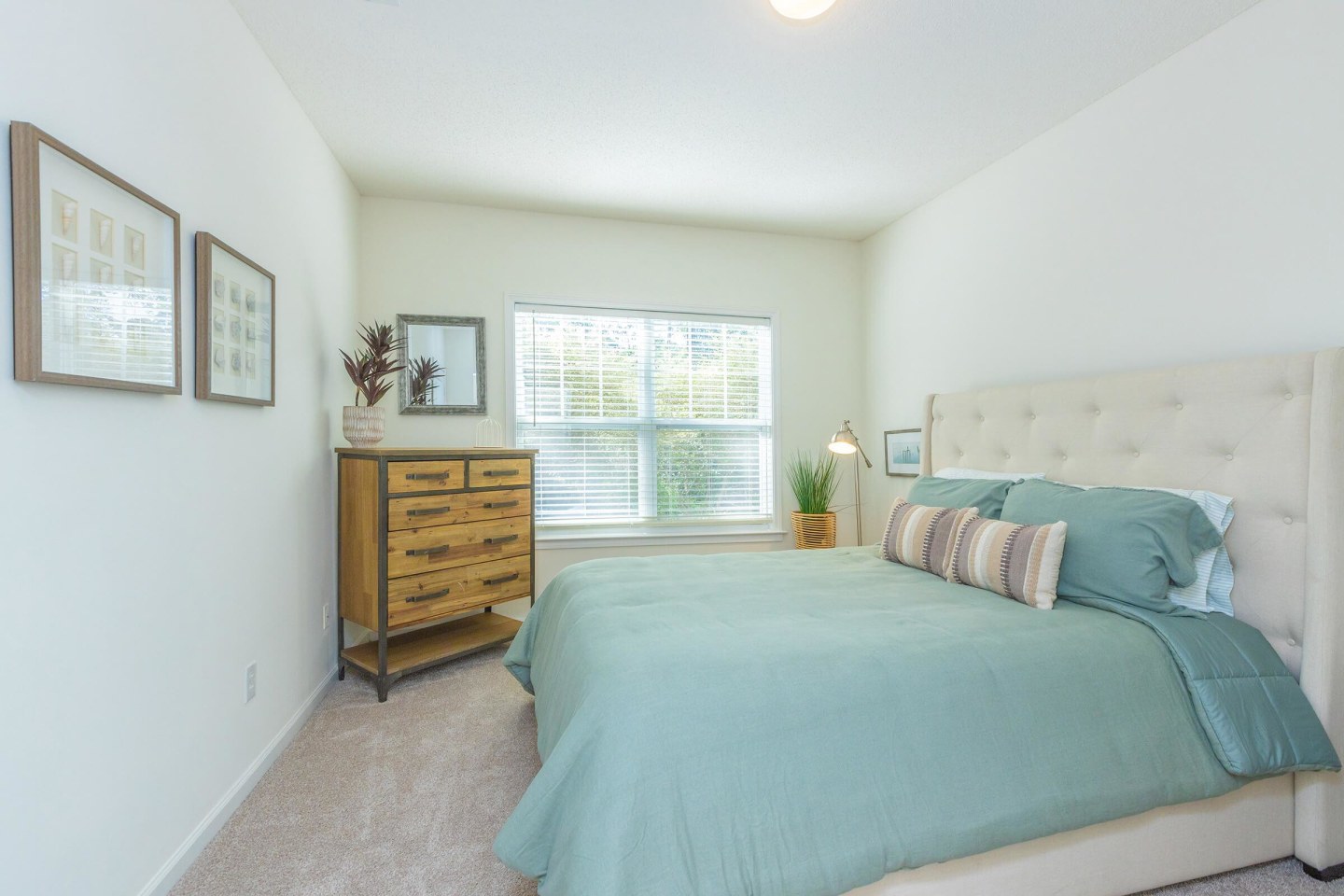 Willow Glen Image 32