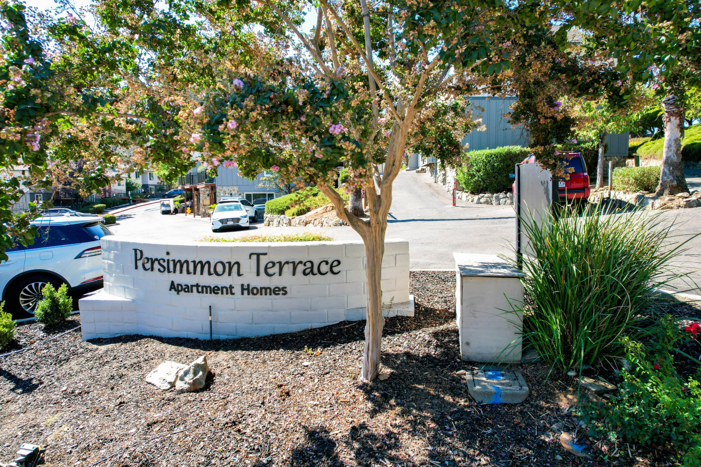 Persimmon Terrace Image 25