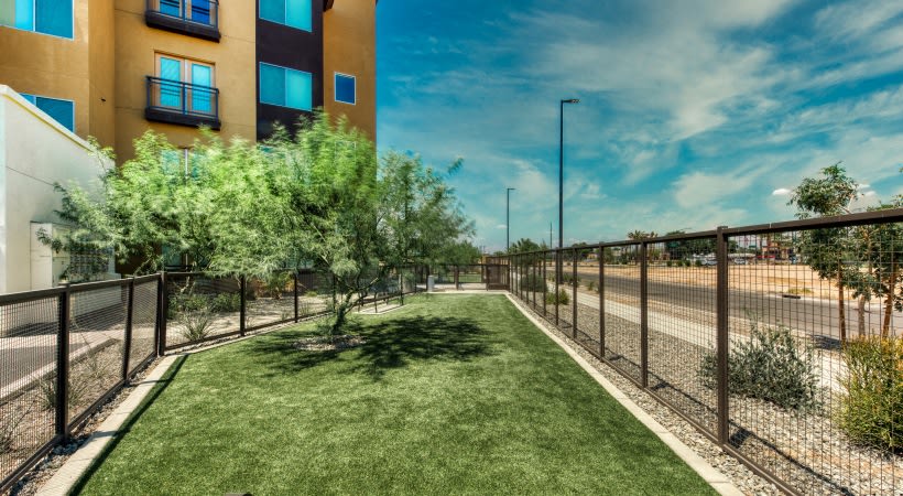 Elevation San Tan Image 12