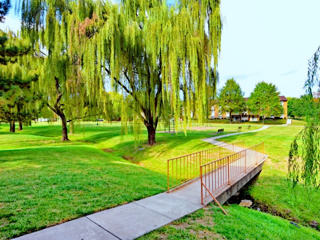 Belmont Park Image 13